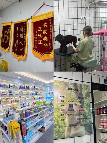 扬州这家宠物医院真的挺靠谱的~