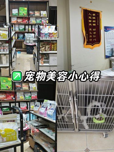 宠物医院也有新装修了