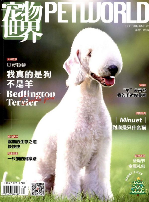 宠物世界封面