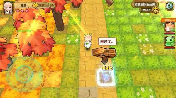 宠物迷宫修改版