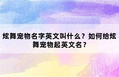 炫舞宠物名字英文叫什么？如何给炫舞宠物起英文名？