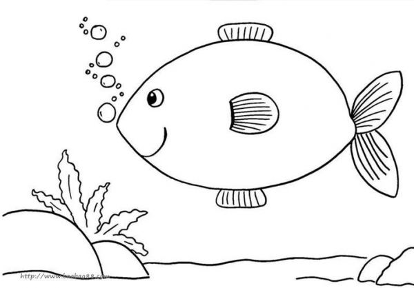简单小动物简笔画19p动物简笔画涂色图片 - 宝宝吧
