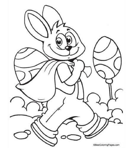 内容有简单的幼儿简笔画 可爱的水果卡通画制作步骤卡通动物简笔画