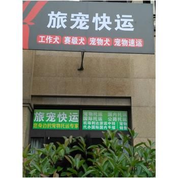 杭州有哪些托运公司 杭州宠物托运公司