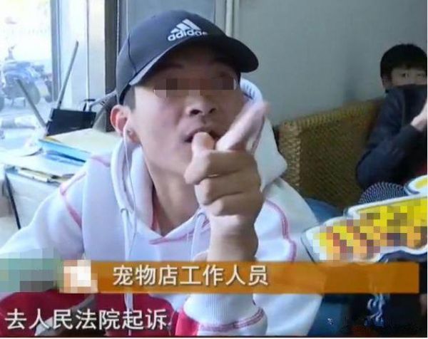 顾客宠物店买到“星期狗”，店员：我怕你啊！