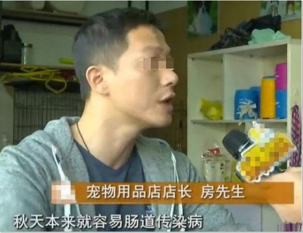 顾客宠物店买到“星期狗”，店员：我怕你啊！