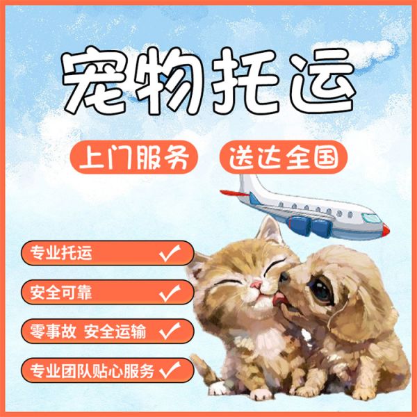 南京托运上门接宠本地服务