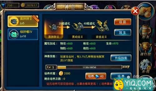剑魂之刃宠物黑胖胖介绍 黑胖胖属性解析