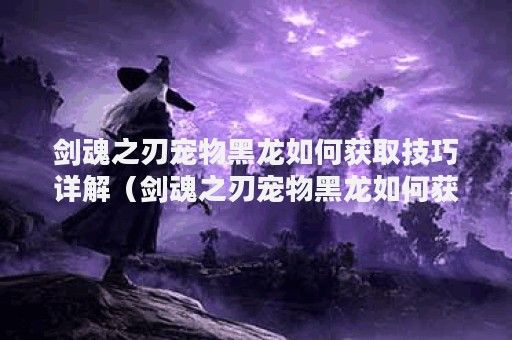 剑魂之刃宠物黑龙如何获取技巧详解（剑魂之刃宠物黑龙如何获取技巧详解）