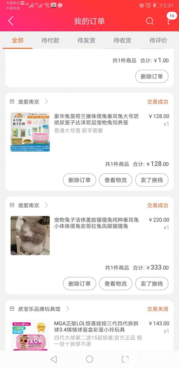 公羊兔 便宜处理，自己养的一公一母宠物兔