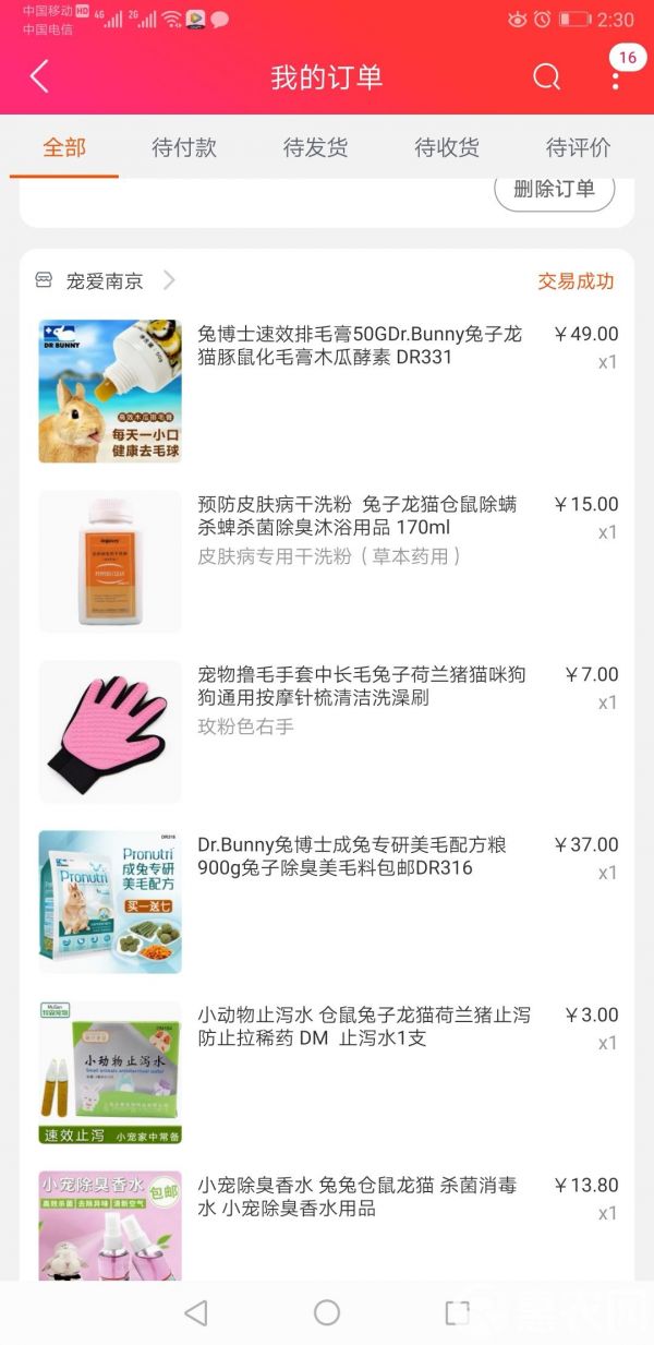 公羊兔 便宜处理，自己养的一公一母宠物兔