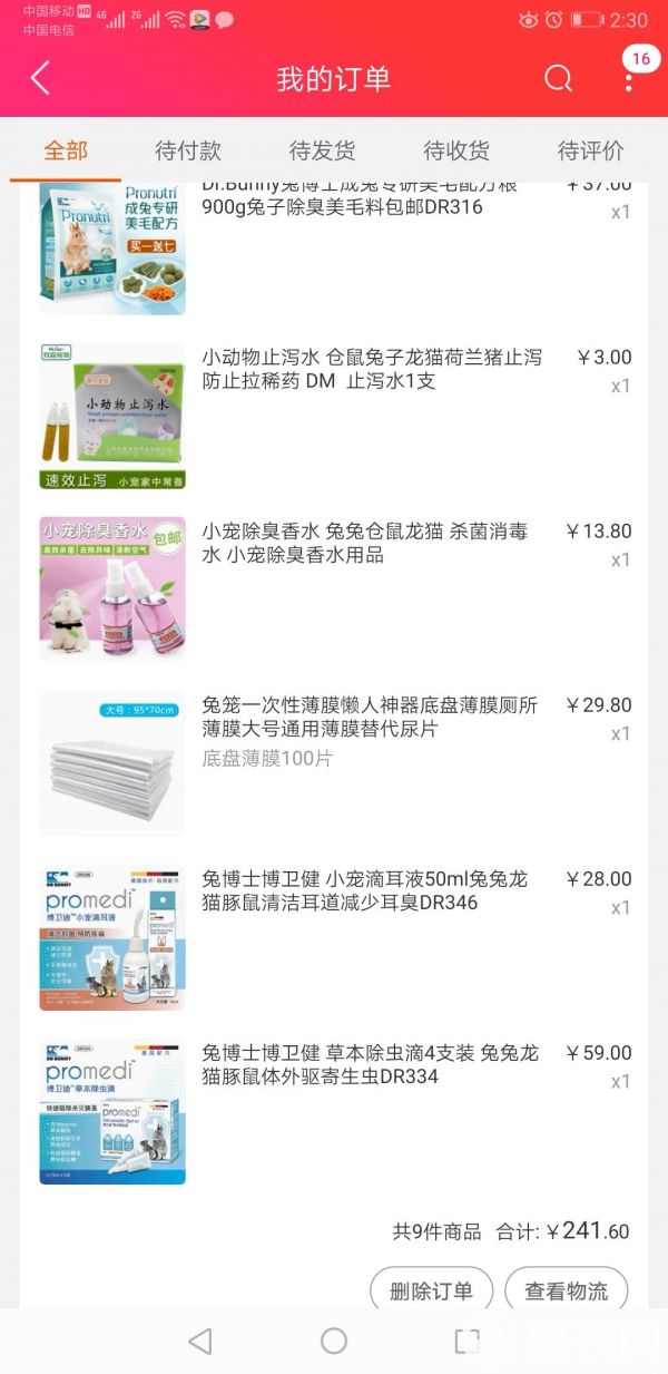公羊兔 便宜处理，自己养的一公一母宠物兔