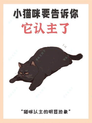 猫咪要告诉你，它认主了，你中了几条呢？