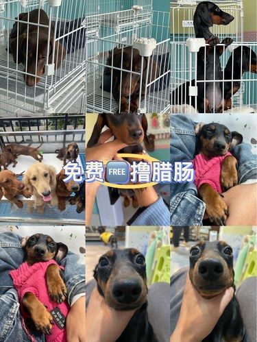 家有新成员，快来看看