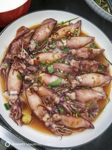 家庭小鱿鱼