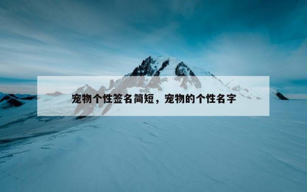 宠物个性签名简短，宠物的个性名字
