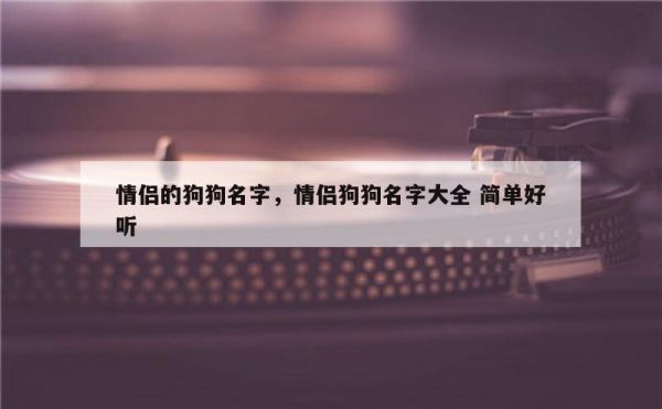 情侣的狗狗名字，情侣狗狗名字大全 简单好听