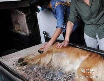 安阳动物无害化处理厂,安阳小型宠物火化中心