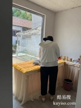安阳宠宝火化 宠物服务 宠宝殡葬公司