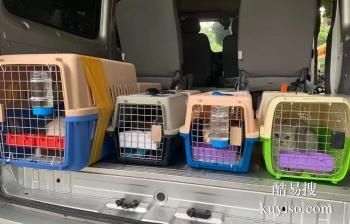 安阳宠物托运 24小时在线宠物托运平台