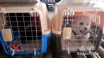 安阳宠物托运 24小时在线宠物托运平台