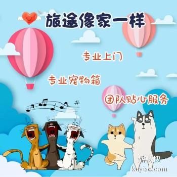 安阳汤阴宠物邮寄全国可达免费上门接