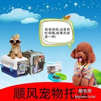 安阳汤阴宠物邮寄全国可达免费上门接