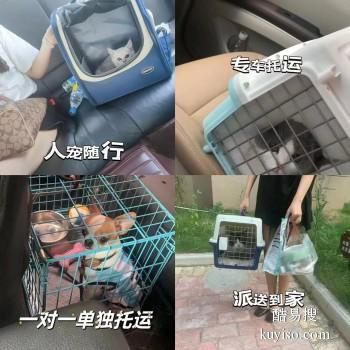 安阳汤阴宠物邮寄全国可达免费上门接