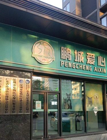 一家温馨可爱的宠物医院