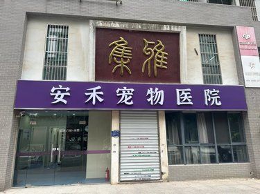 医术超赞 医心更美~