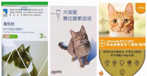 猫咪耳螨药的使用常识（宠物常备药物）