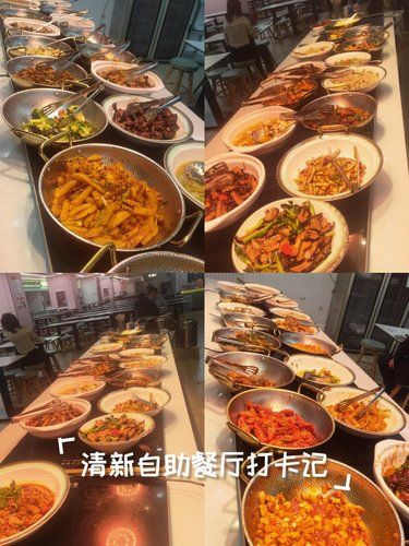 呼家楼博瑞大厦A座美食城好几家晚餐自助18元