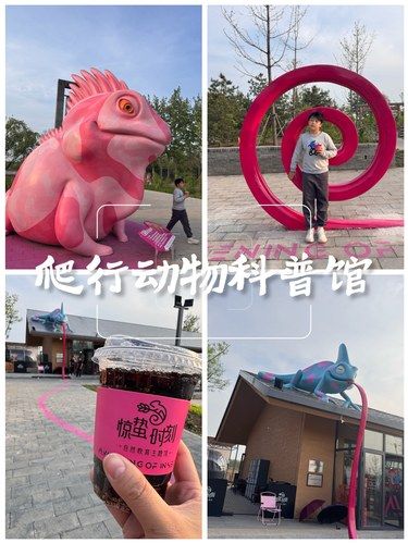 不输北动的温馨爬宠科普馆就在这❗️