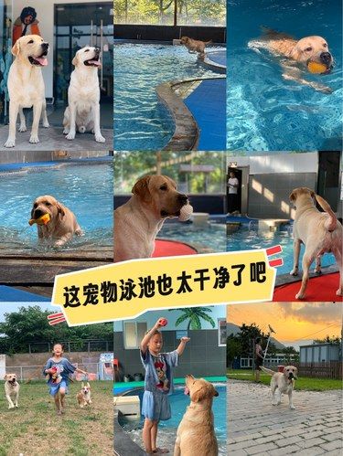 这泳池❗️人都想跳下去有两下[笑哭]