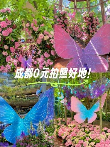 成都0️⃣r拍照的地方！人少巨美巨好拍！！！