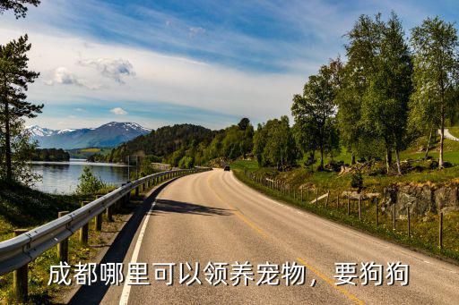 成都哪里可以领养宠物，要狗狗