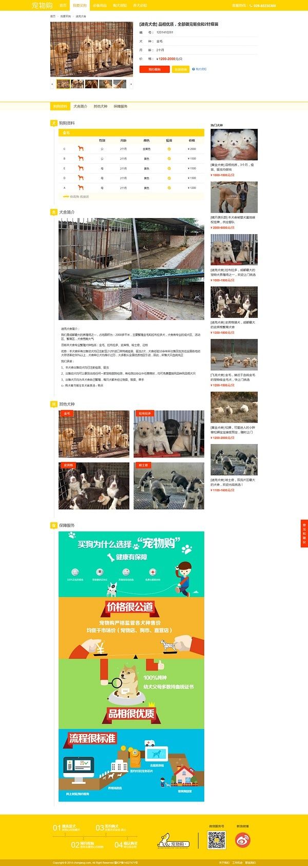 宠物狗