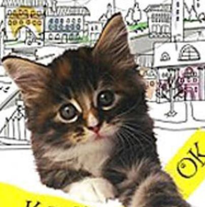 小猫虎子