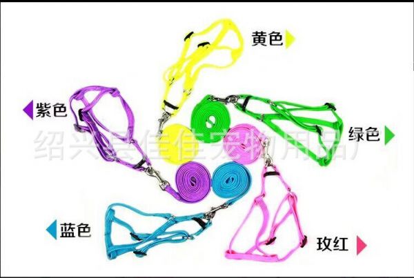 宠物绳