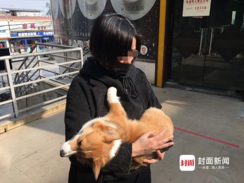 点击查看大图