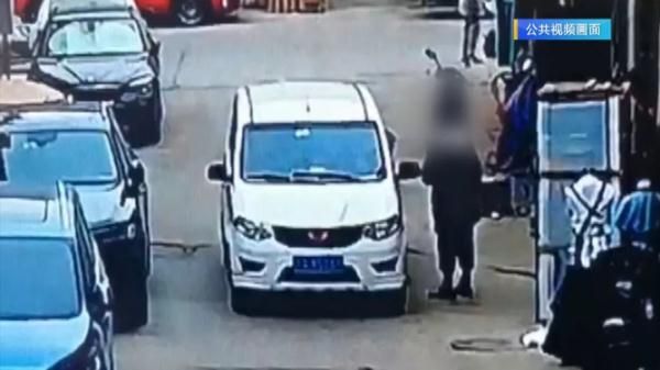 市场内宠物犬未拴绳被撞，主人索赔6800多元！法院经审理判决……