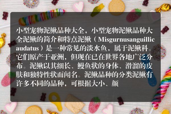 小型宠物泥鳅品种大全，小型宠物泥鳅品种大全