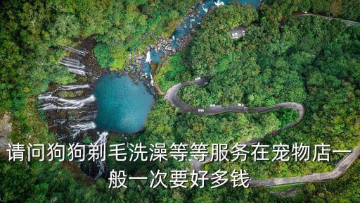 请问狗狗剃毛洗澡等等服务在宠物店一般一次要好多钱