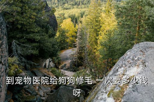 到宠物医院给狗狗修毛 一次要多少钱呀