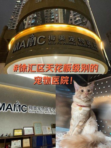 遇到过最认真最负责最靠谱的宠物医院！