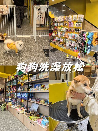 狗狗洗澡放松好去处
