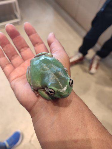 惊蛰时刻 刺激又好玩