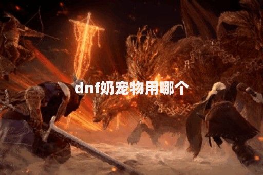 dnf奶宠物用哪个