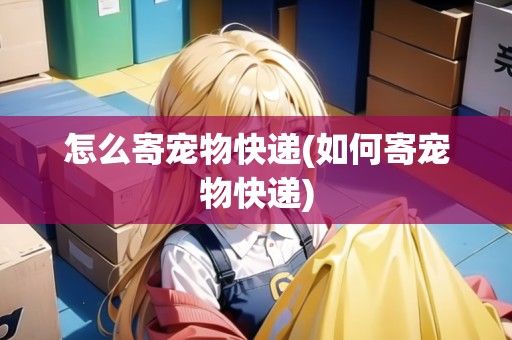 怎么寄宠物快递(如何寄宠物快递)