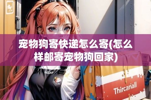 宠物狗寄快递怎么寄(怎么样邮寄宠物狗回家)